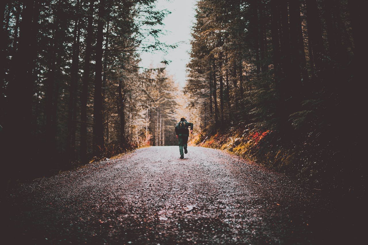 hero-img-01 A lone traveler runs down a scenic forest dirt road, surrounded by tall trees.